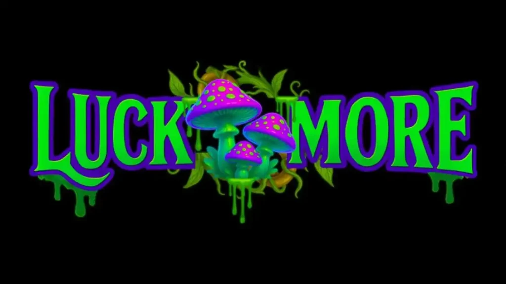 Лакмор казино Лакмор казино